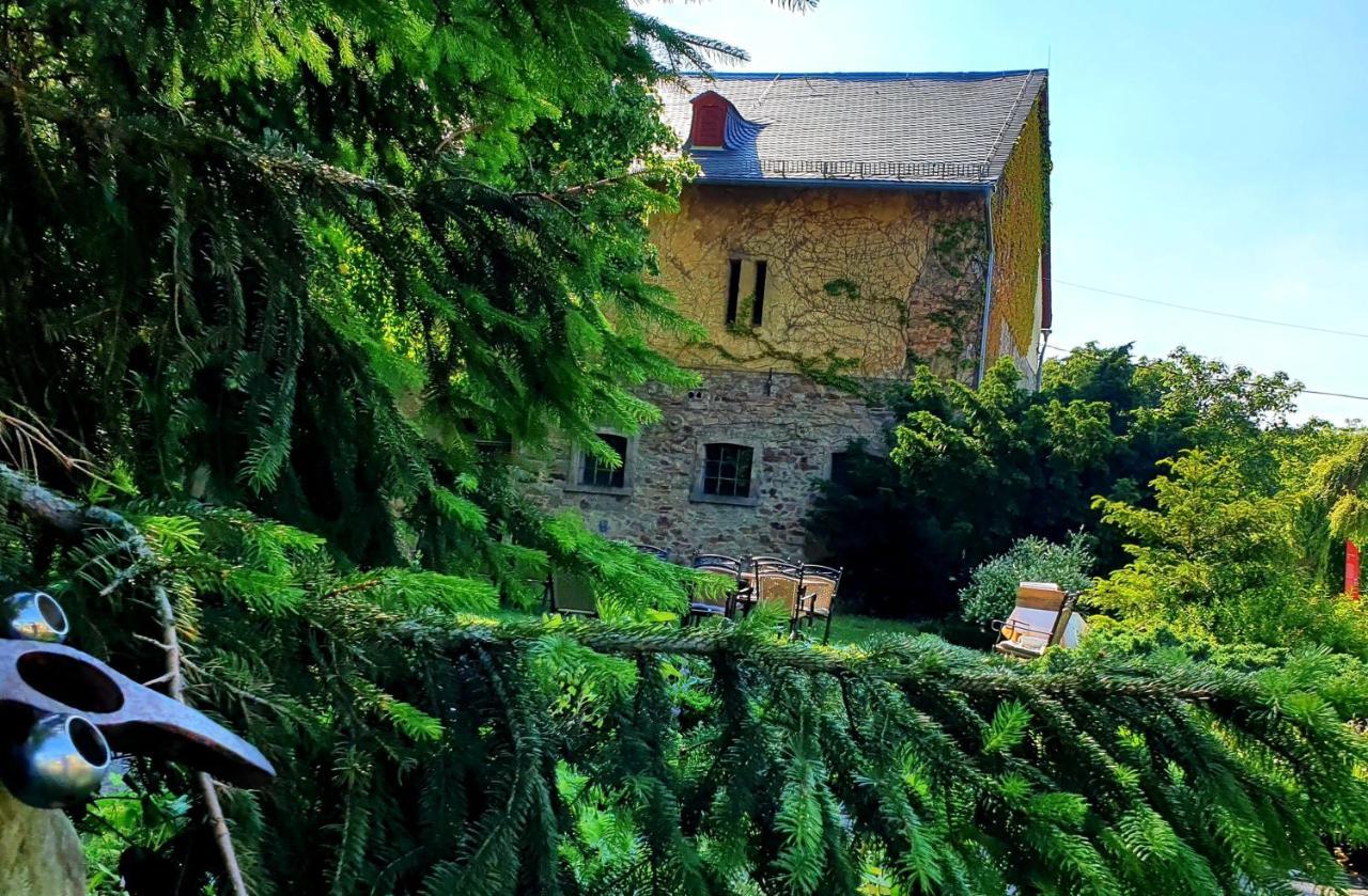 Jagdschloss Hotel Niederwald Рюдесгайм-ам-Райн Екстер'єр фото